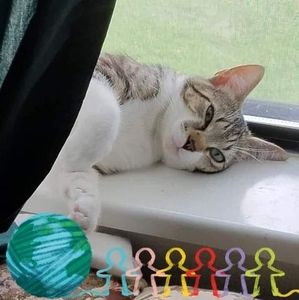 Meet your Posher, Mandy